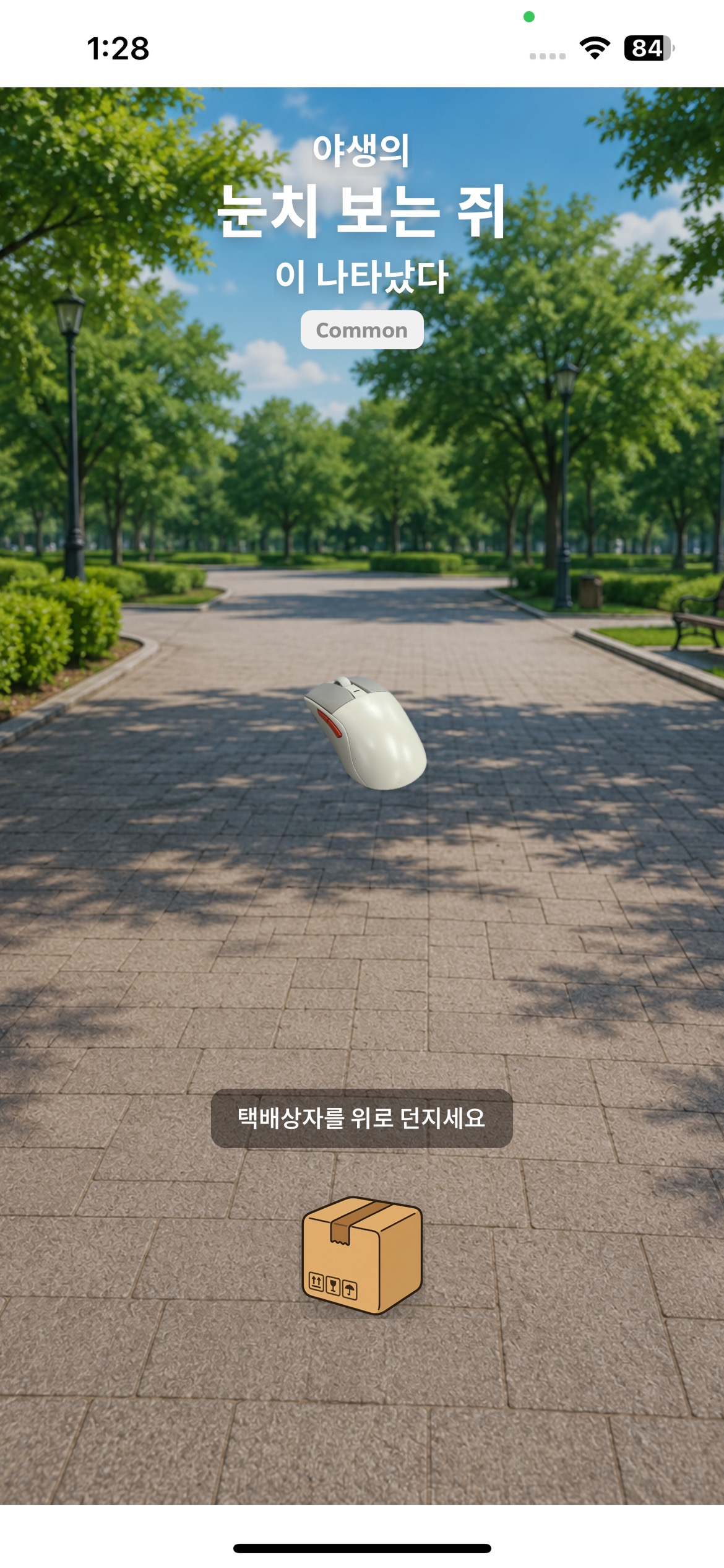 발견 기능 앱 화면